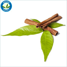 Antibiotic Cinnamon Leaf Oil