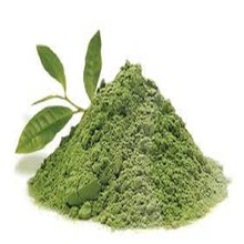 Fresh Green Tea Powder