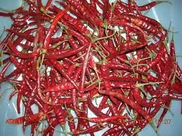 Dried red chilli flake, Shape : Stick