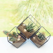 Metal stands glass terrarium vase