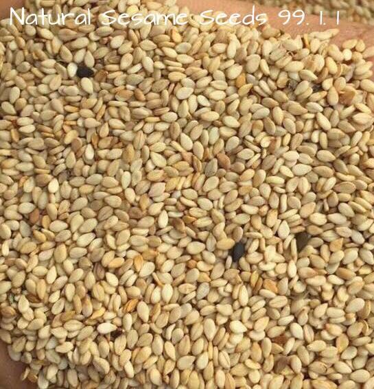 Natural Sesame seed 99.95