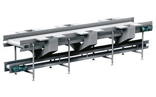 Sorting and Fruit Cutting Conveyor