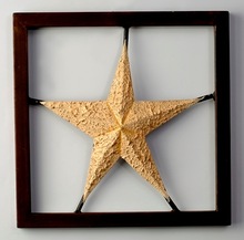 Hand painted star frame panel