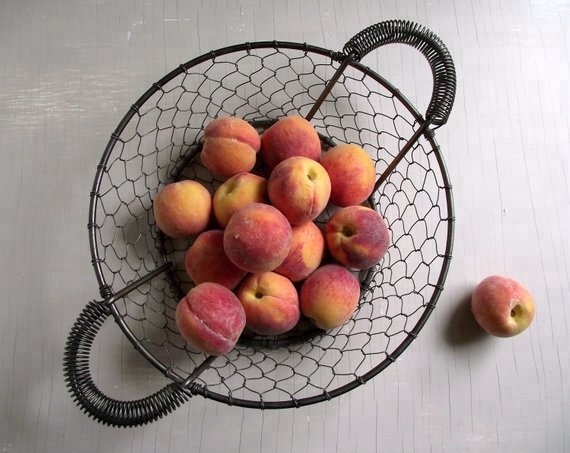 fruit Shallow Deep basket