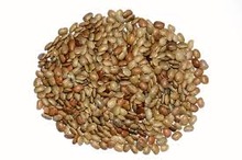 Horse Gram Seeds, Color : Green