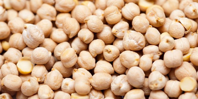 Organic White Chickpeas, for Cooking, Style : Dry