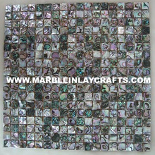 Sea Shell Semi Precious Abalone Wall Tiles