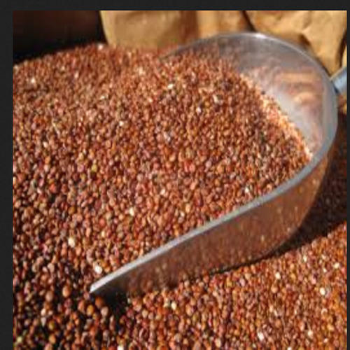 Organic Red Quinoa Seeds, Packaging Size : 5 kg