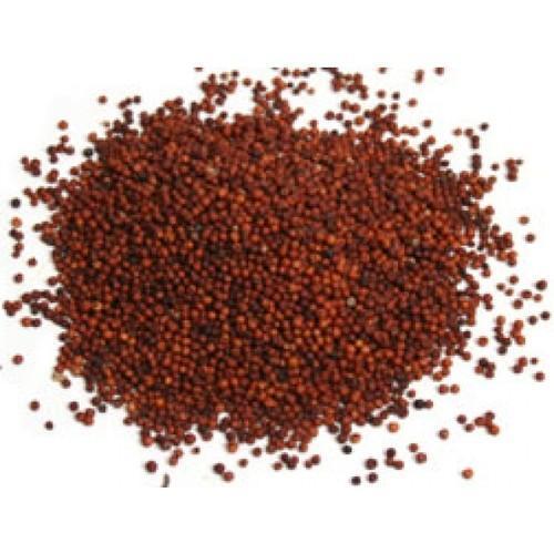 red millet seed