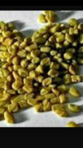 Green Fenugreek Seeds