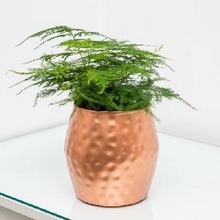 Copper flower pot, Size : 4X6