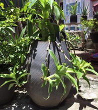 RECYCLED RUBBER PLANT PLANTER
