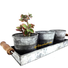Galvanized Succulent Pots with Tray