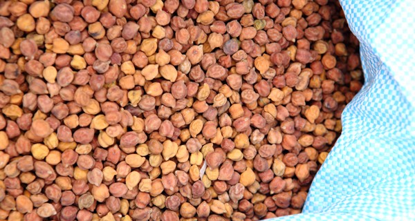 Organic Black Chickpeas, Packaging Size : 10kg, 15kg, 25kg, 50kg