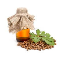 coriander essential oil