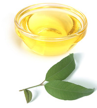 lemon myrtle oil