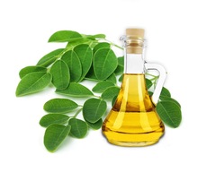 Seeds Moringa Essential Oil, Supply Type : OEM/ODM