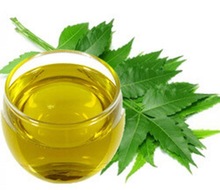 Pure & Natural Neem Essential Oil
