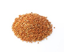 Machine Cleaned Common Red Millet, Style : Dried