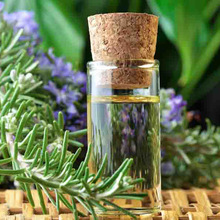 rosemary essential oil