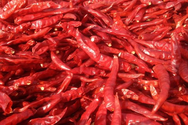 Stem and Stemless Dried Red Chilli