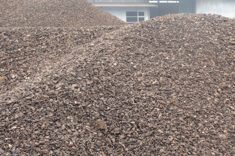 Palm Kernel Shells