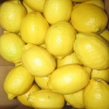 Fresh Eureka Lemon