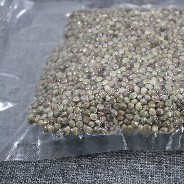 hemp seeds