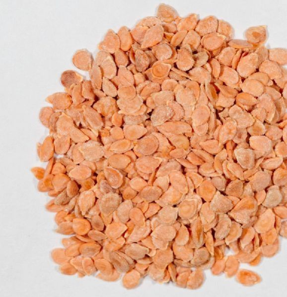 Tomato Seeds For Planting