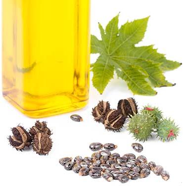 Castor Oil & Derivatives