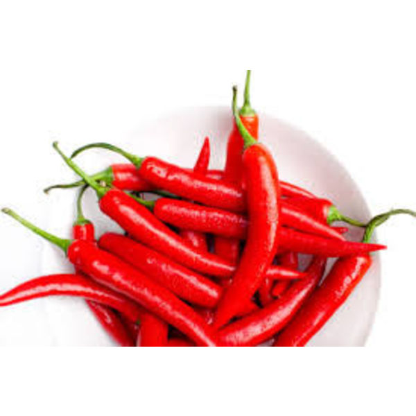 Fresh Red Chilli, for Food, Making Pickles, Packaging Type : Jute Bag