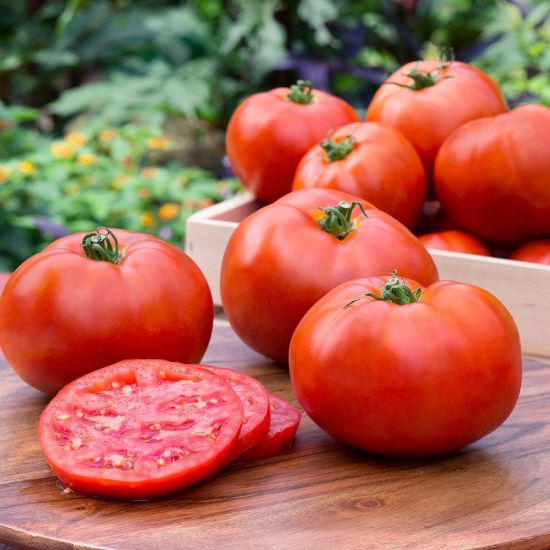 Organic Fresh Tomato, Color : Red
