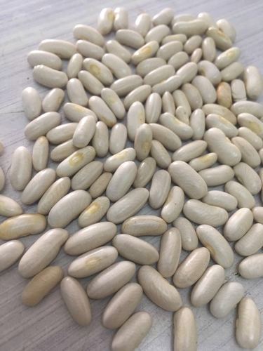 Naveli French Bean Seeds