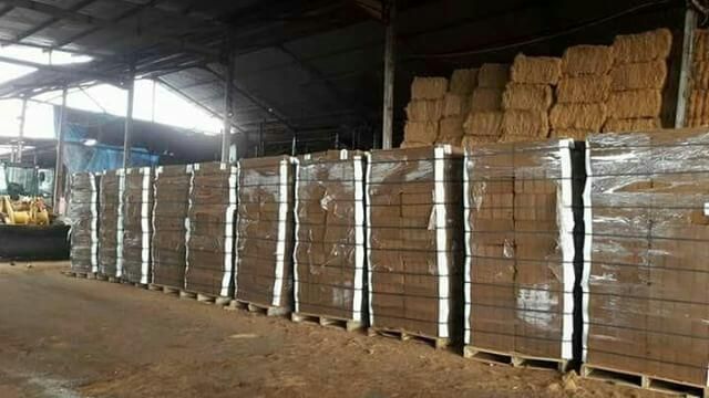 Coco Peat Blocks