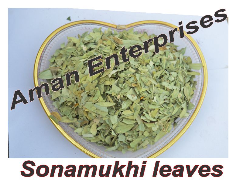 Sonamukhi Leaves