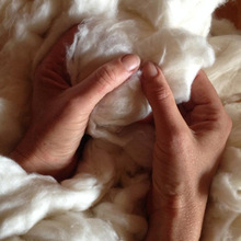 Raw cotton, Feature : Anti-Bacteria