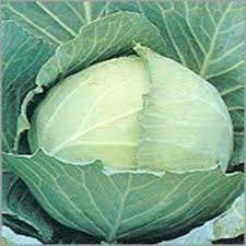 fresh cabbage