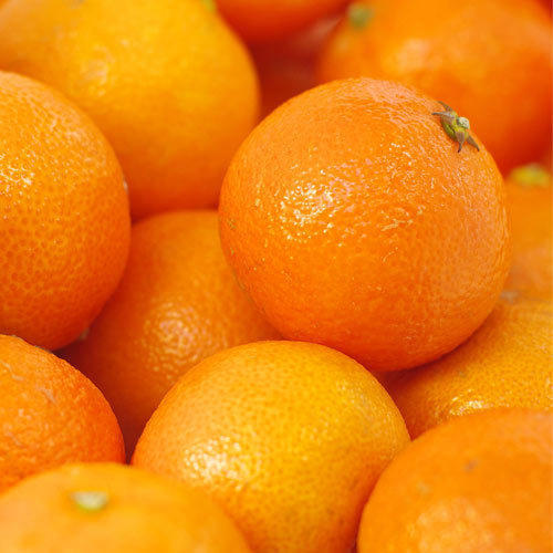  Fresh Orange  Manufacturer in Johannesburg South Africa by 