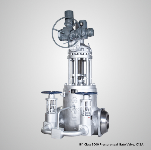 Pressure Seal Check Valve