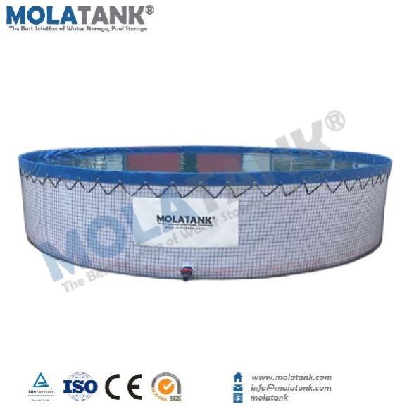 Molatank Foldable Aquarium Fish Farming Tank
