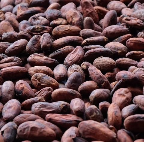 cocoa beans