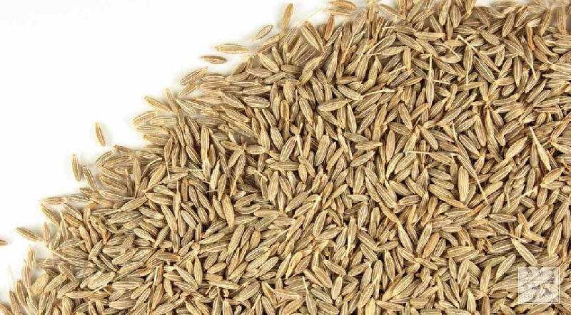 cumin seeds