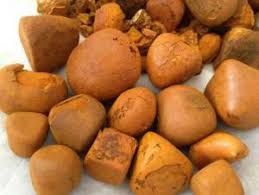 Ox Gallstones