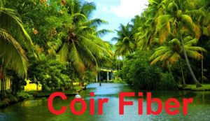 Coir Fiber