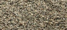 Carom Seeds, Style : Dried