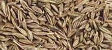 Cumin seeds, for Cooking, Form : Solid