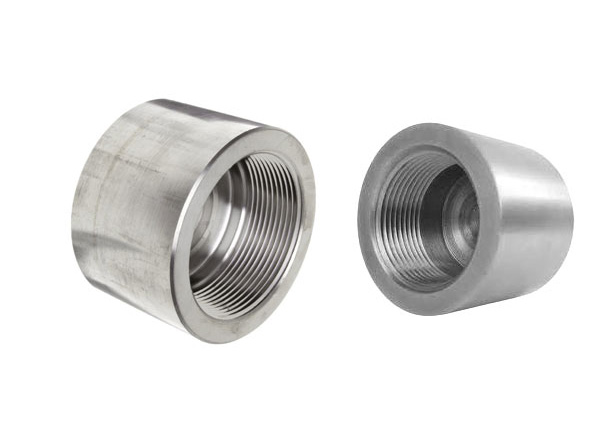 Stainless Steel Forged Threaded Plug