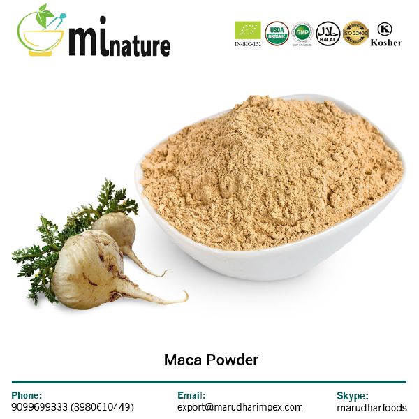 Maca Root Extract Powder