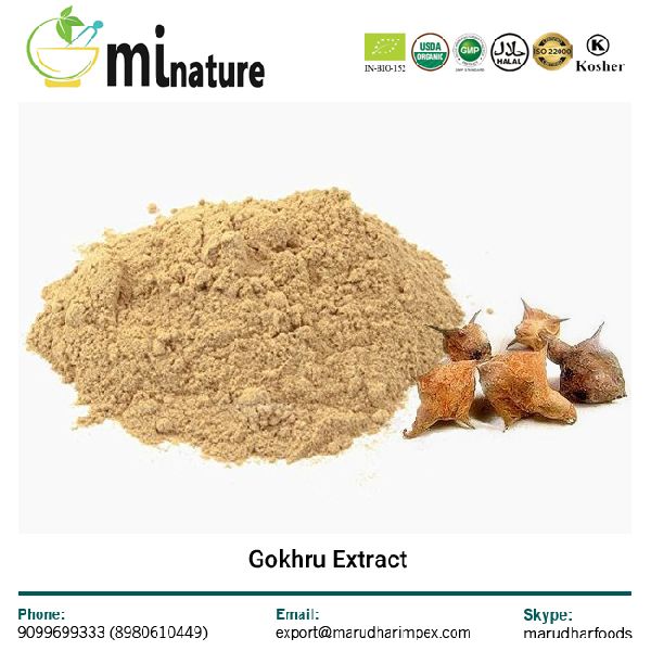 Natural Gokhru Extract