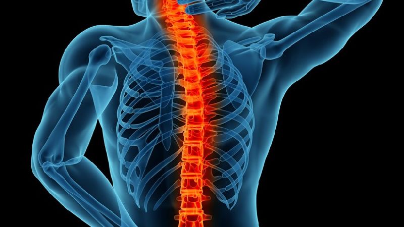 spine surgery services